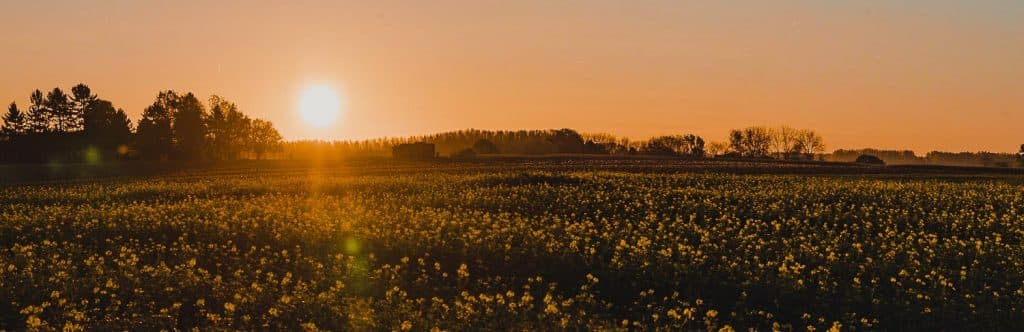 wandelroute asselkouter