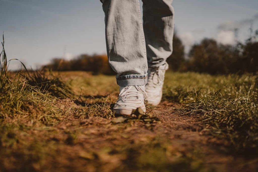 asselkouter wandeling munte