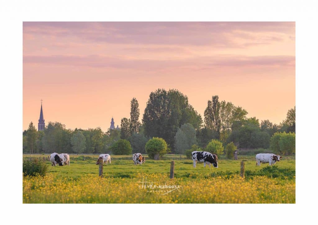 wandelen in gentbrugse meersen