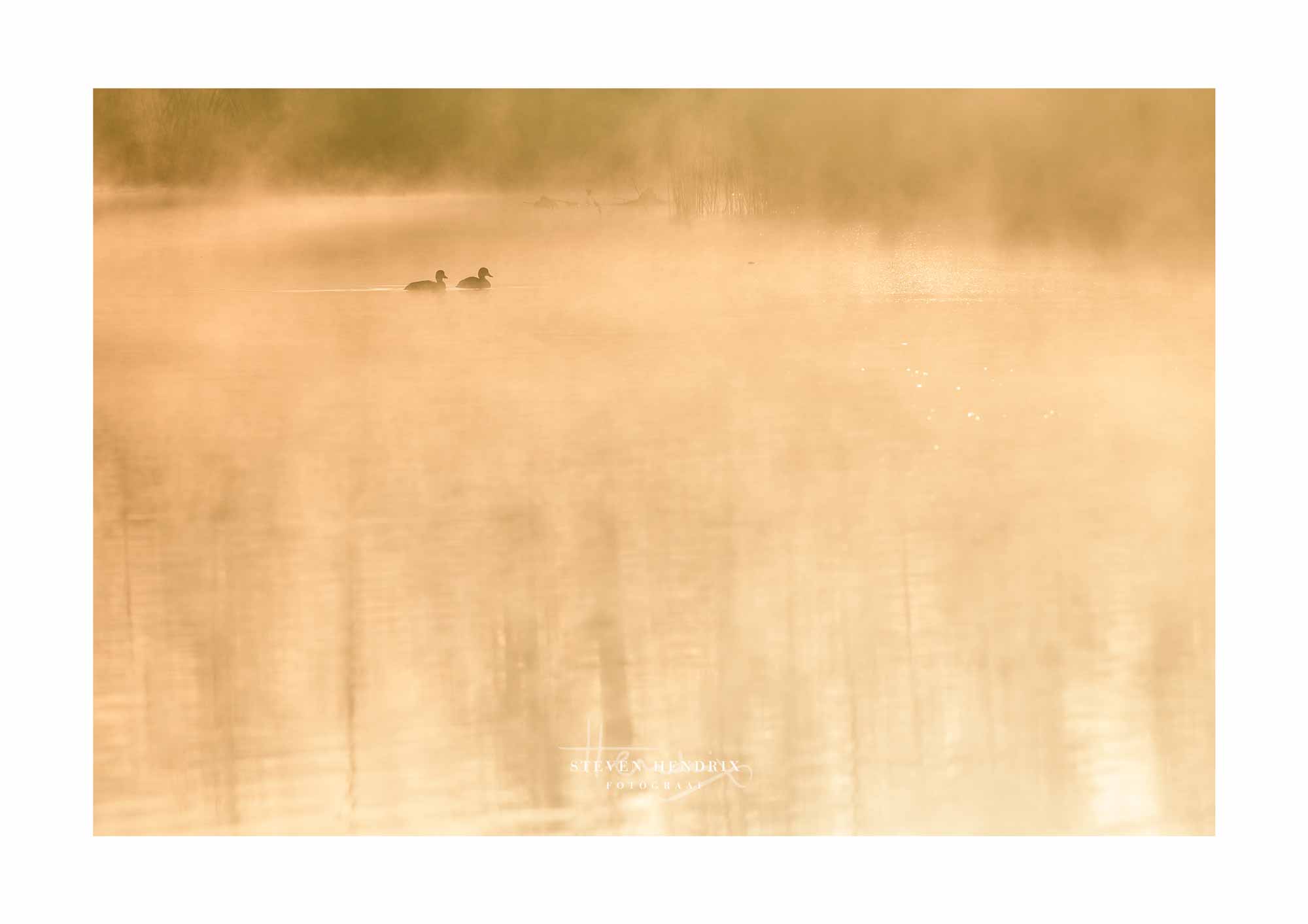 fotografie gentbrugse meersen