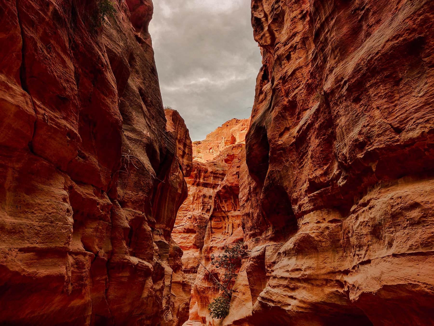 Siq canyon in Petra