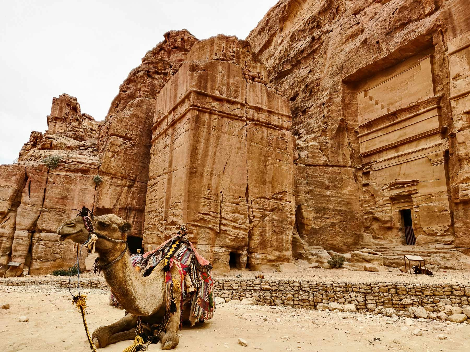 opgetutte kameel in Petra
