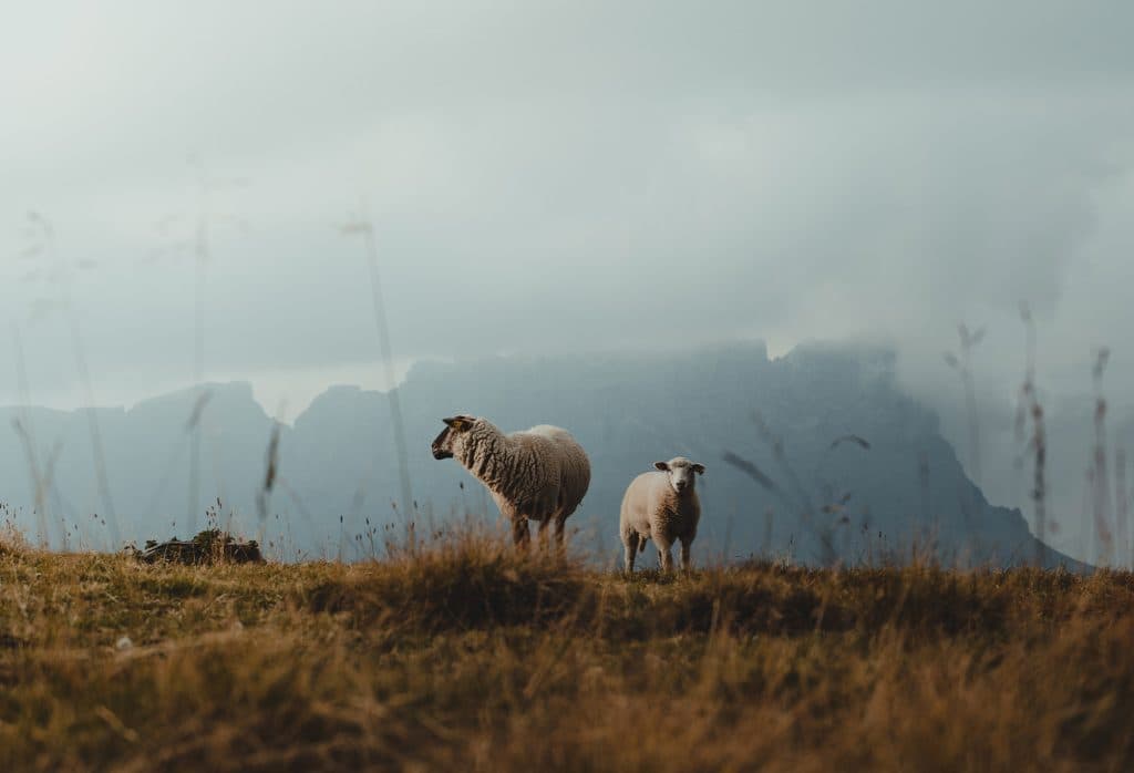 chamonix franse alpen