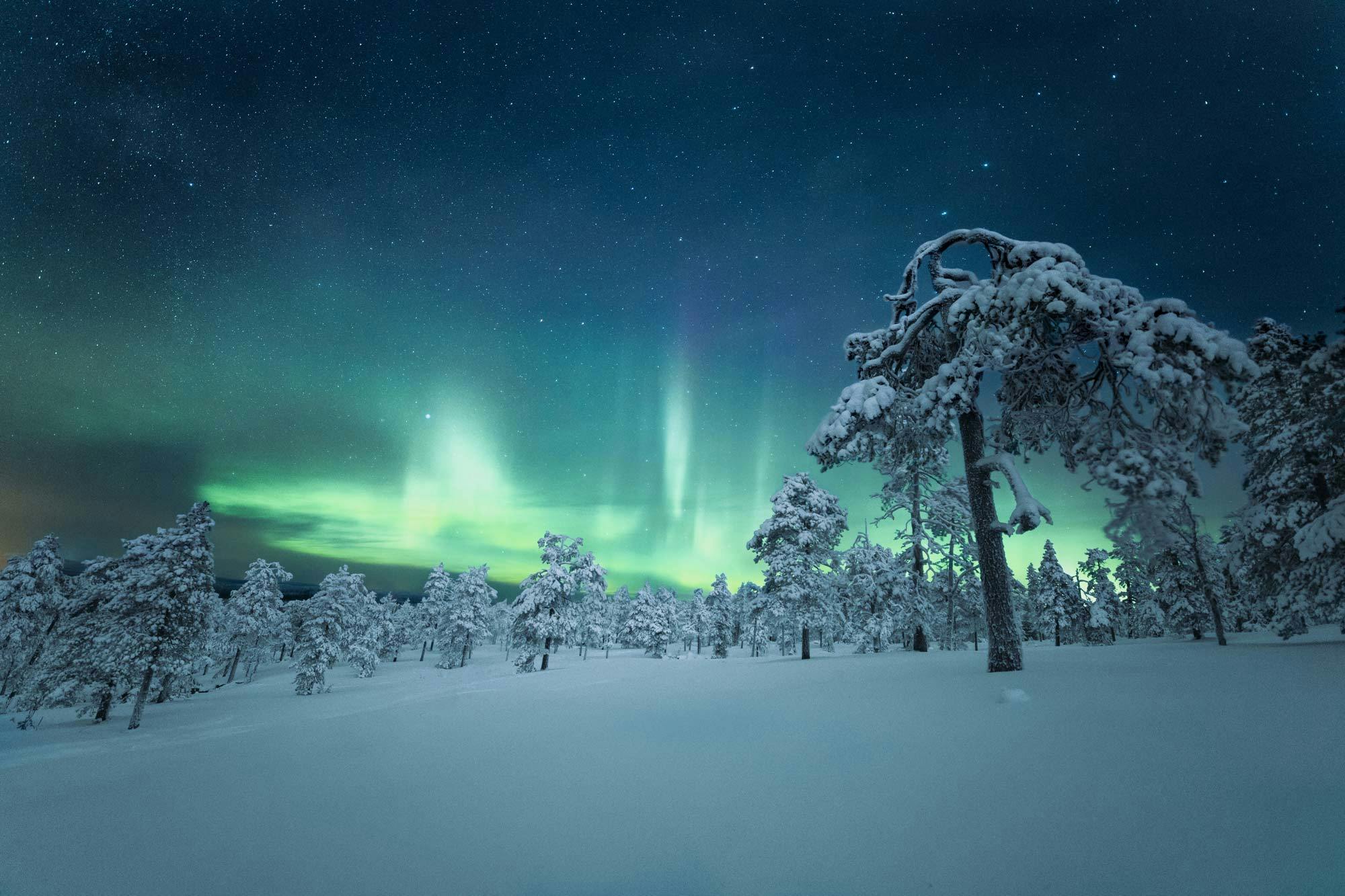 De leukste dingen om te doen tijdens een winter in Lapland!