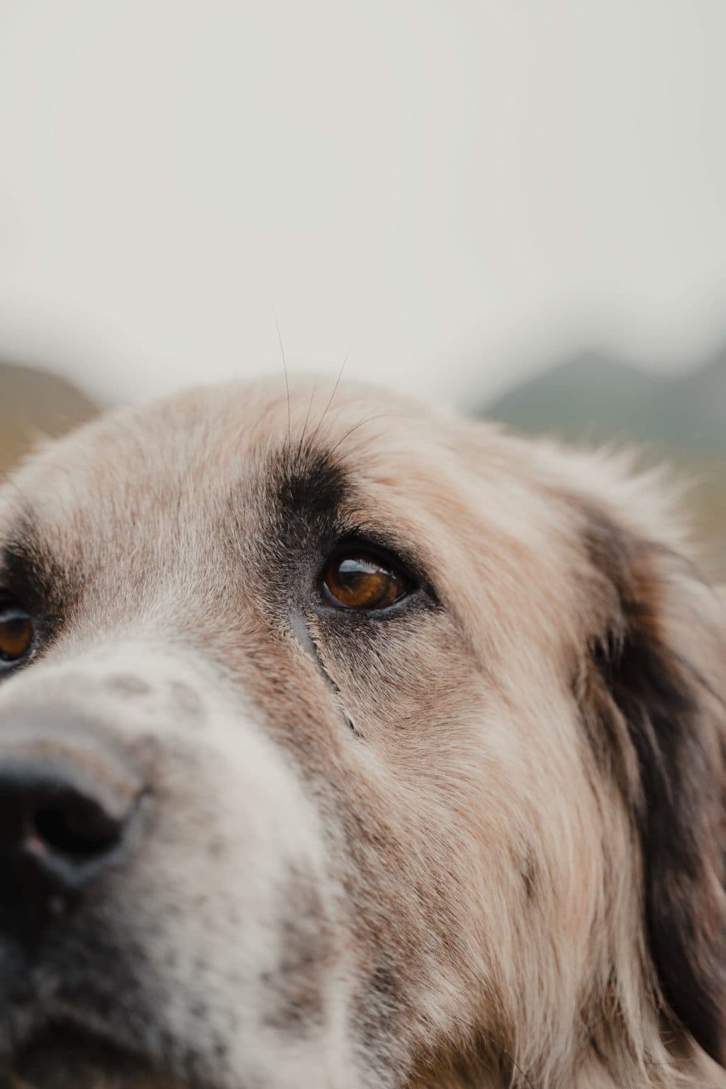 waar wandelen in albanie
