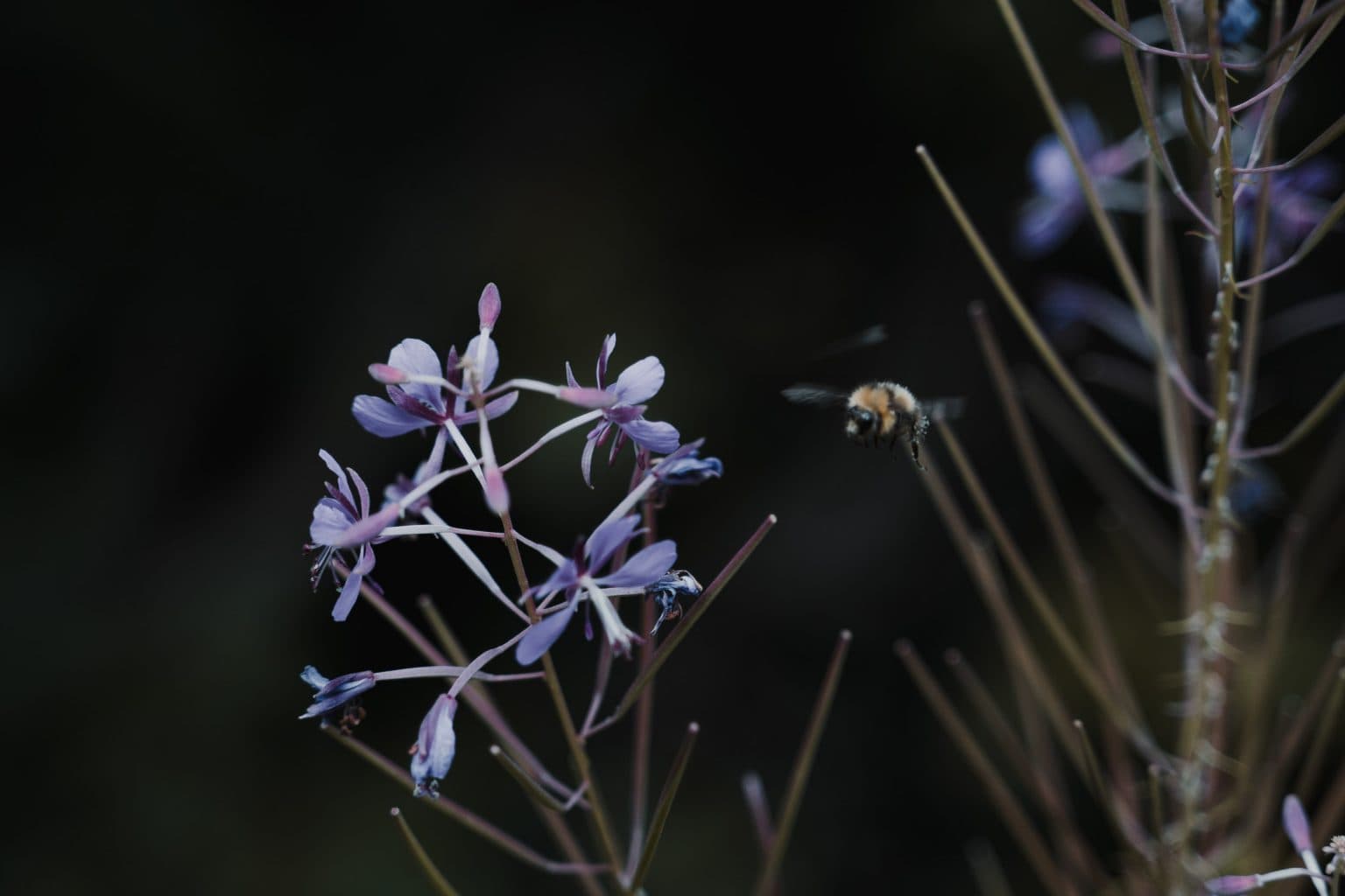vakantie in montenegro