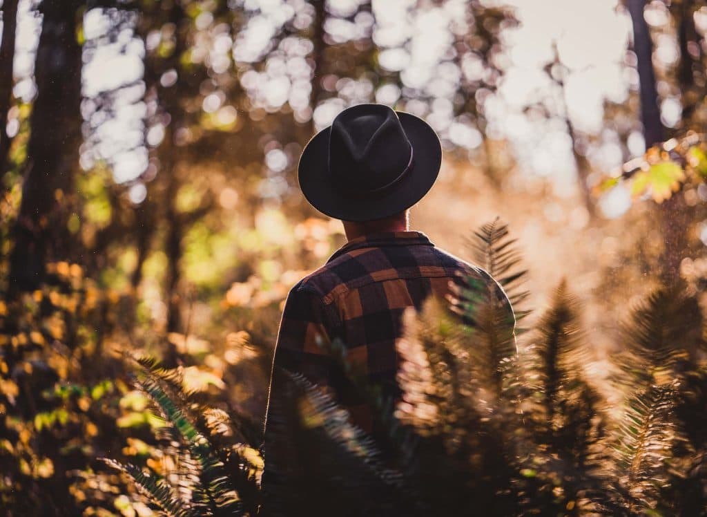 Wat doen in Banff en Jasper