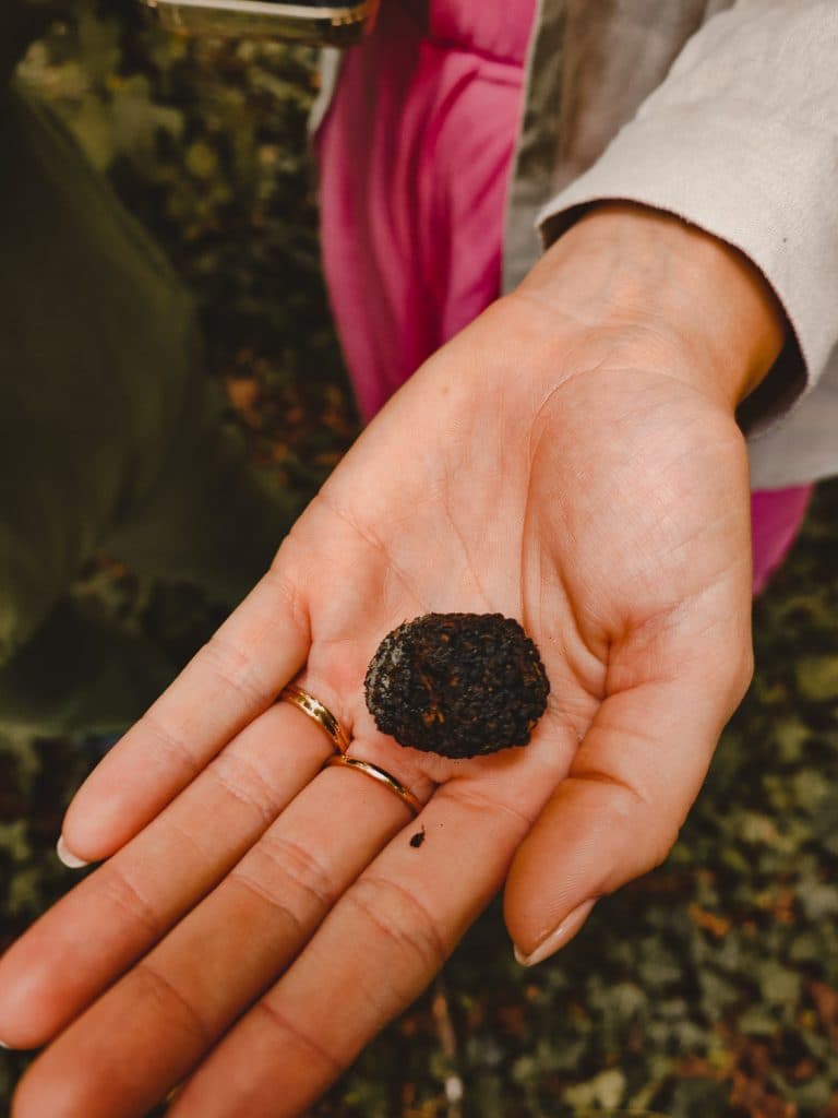 kroatie truffels eten