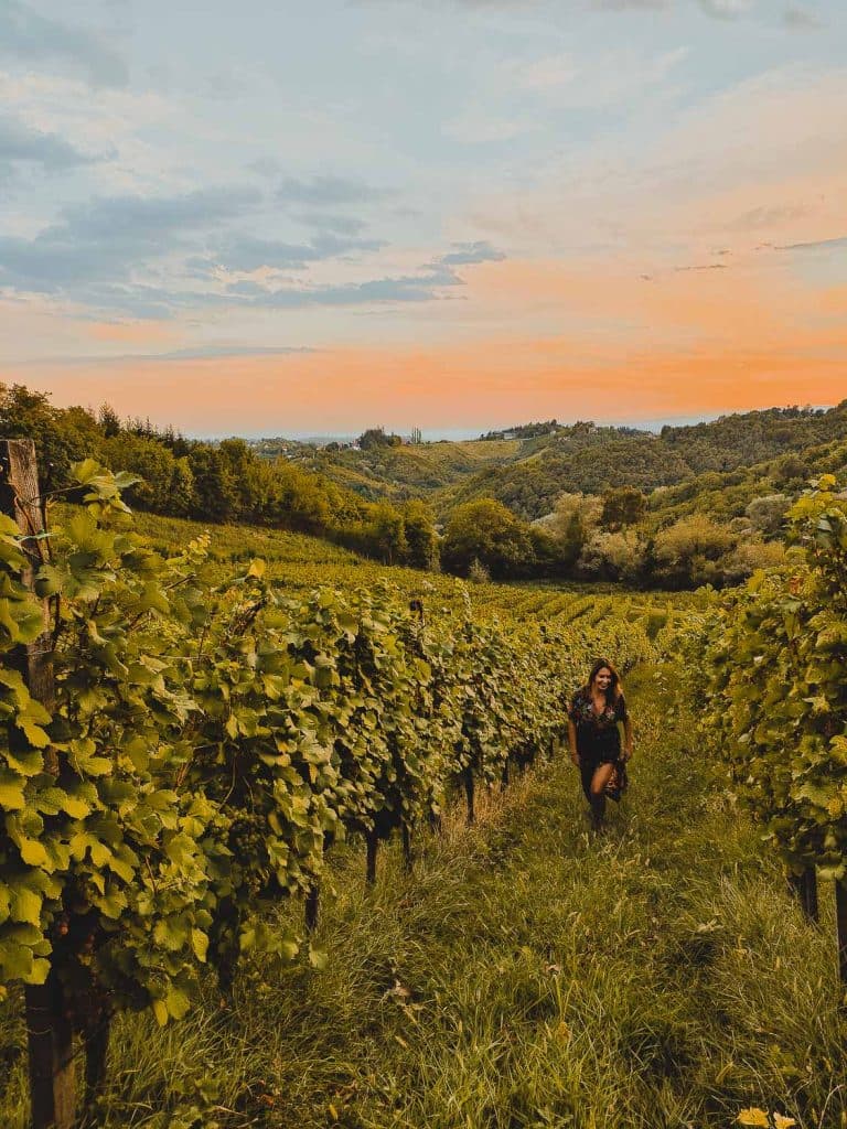 wijnregio jastrebarsko Kroatië roadtrip