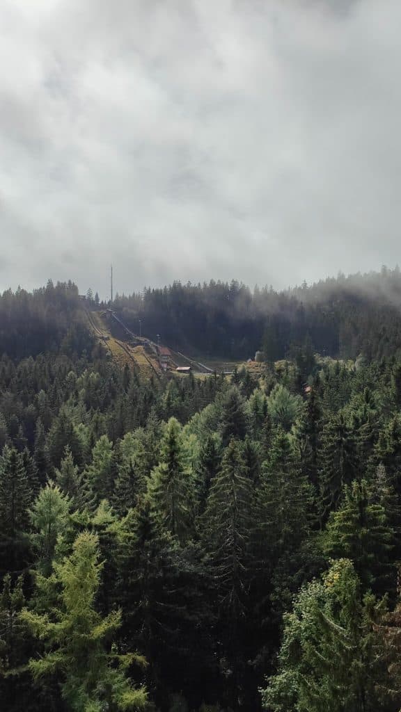 Dicht altijdgroen bos onder een bewolkte, mistige hemel; in de verte een kleine open plek met gebouwen en een hoge antenne op een heuvel. De donkergroene bomen en aanhoudende mist roepen het dromerige landschap van Duitsland op.