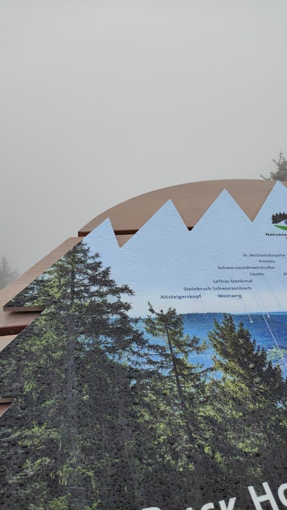 hiken wandelen zwarte woud