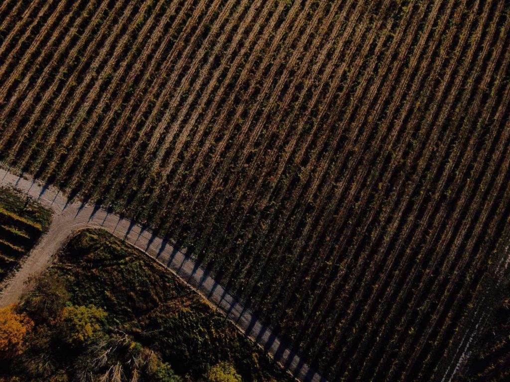 drone shot wijngaarden frankrijk