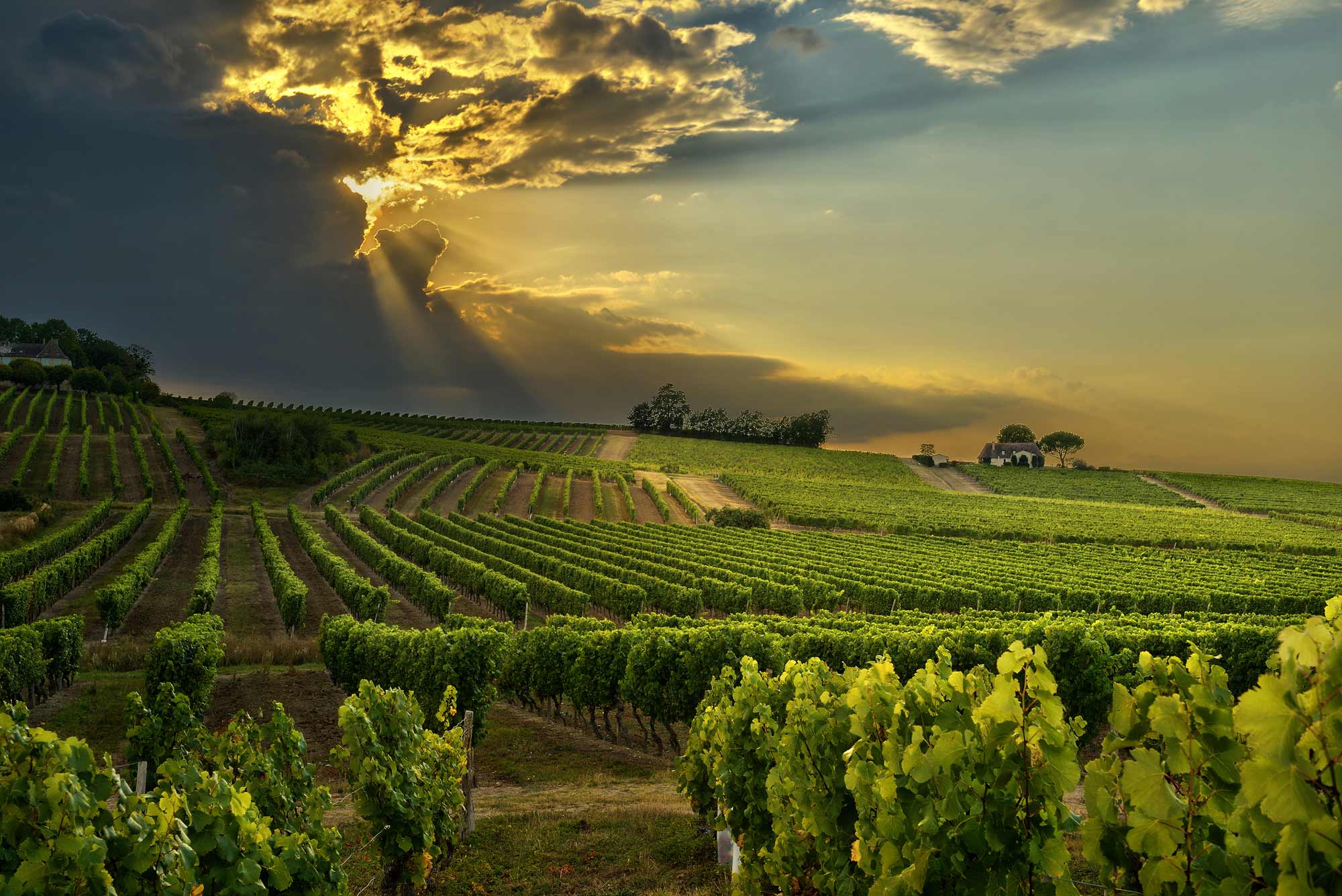 wijngaarden zonsondergang bergerac