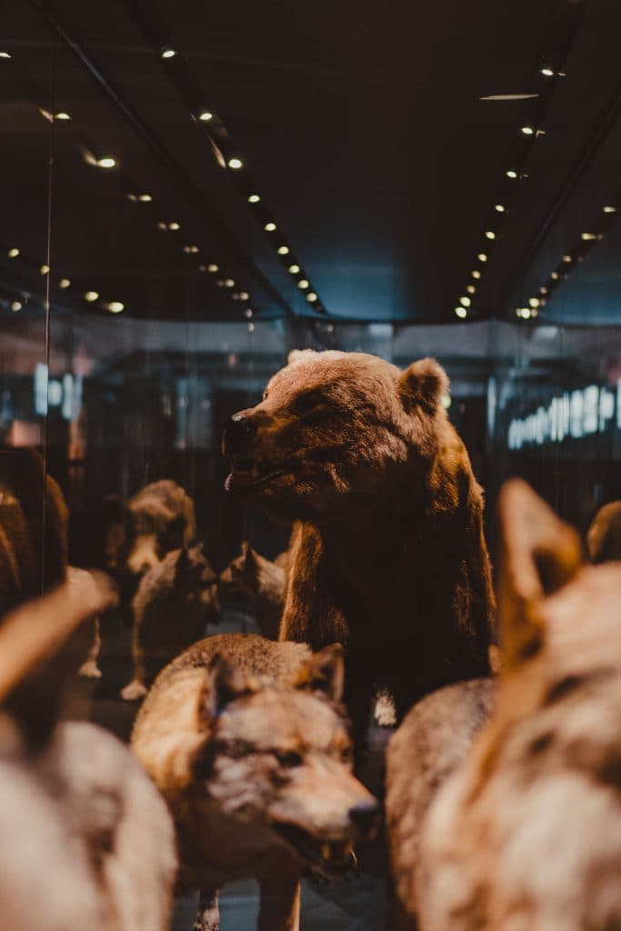 ruhrgebied fotolocaties essen duisburg