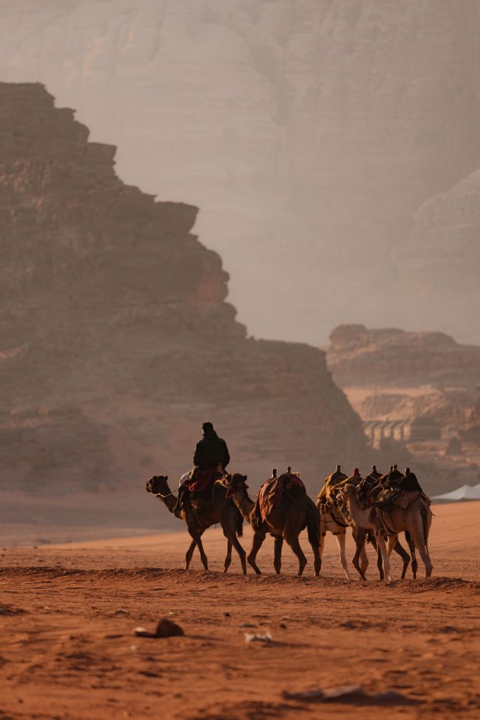 kamelen rijden in jordanie