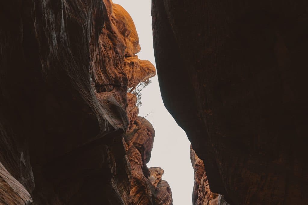 kloof jordanie wadi ghuweir trail