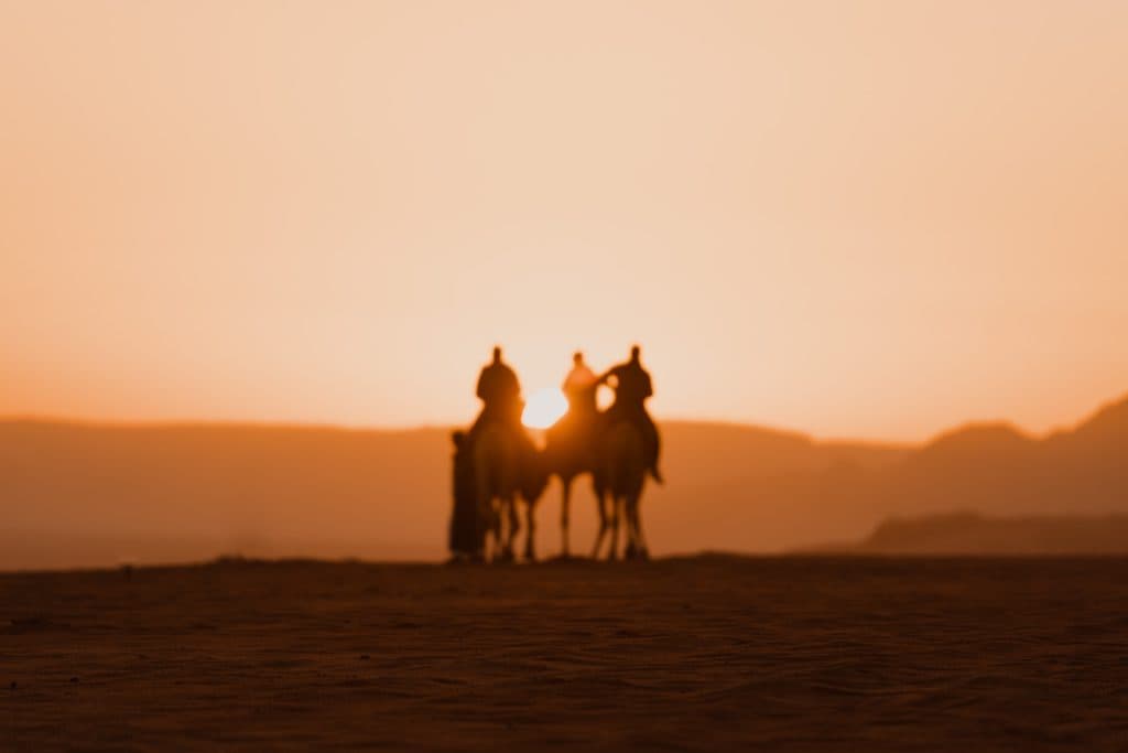 kamelen wadi rum