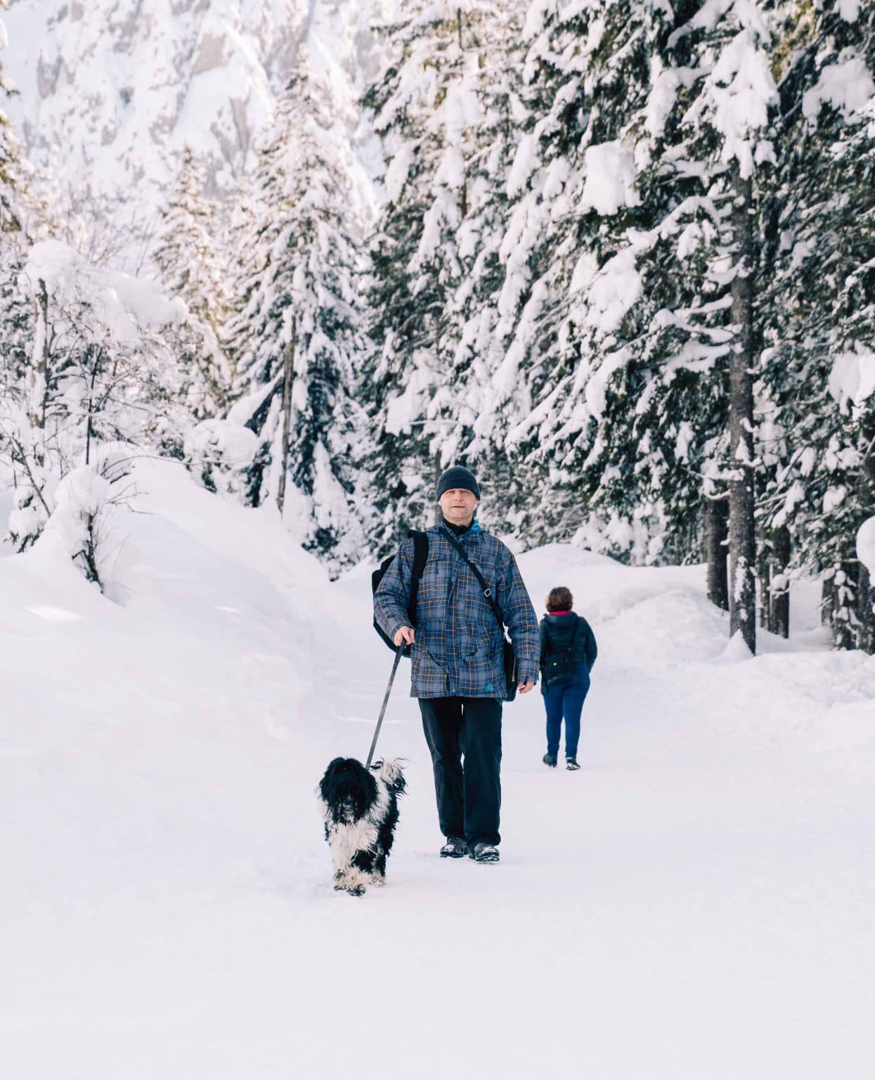 skipret in slovenie