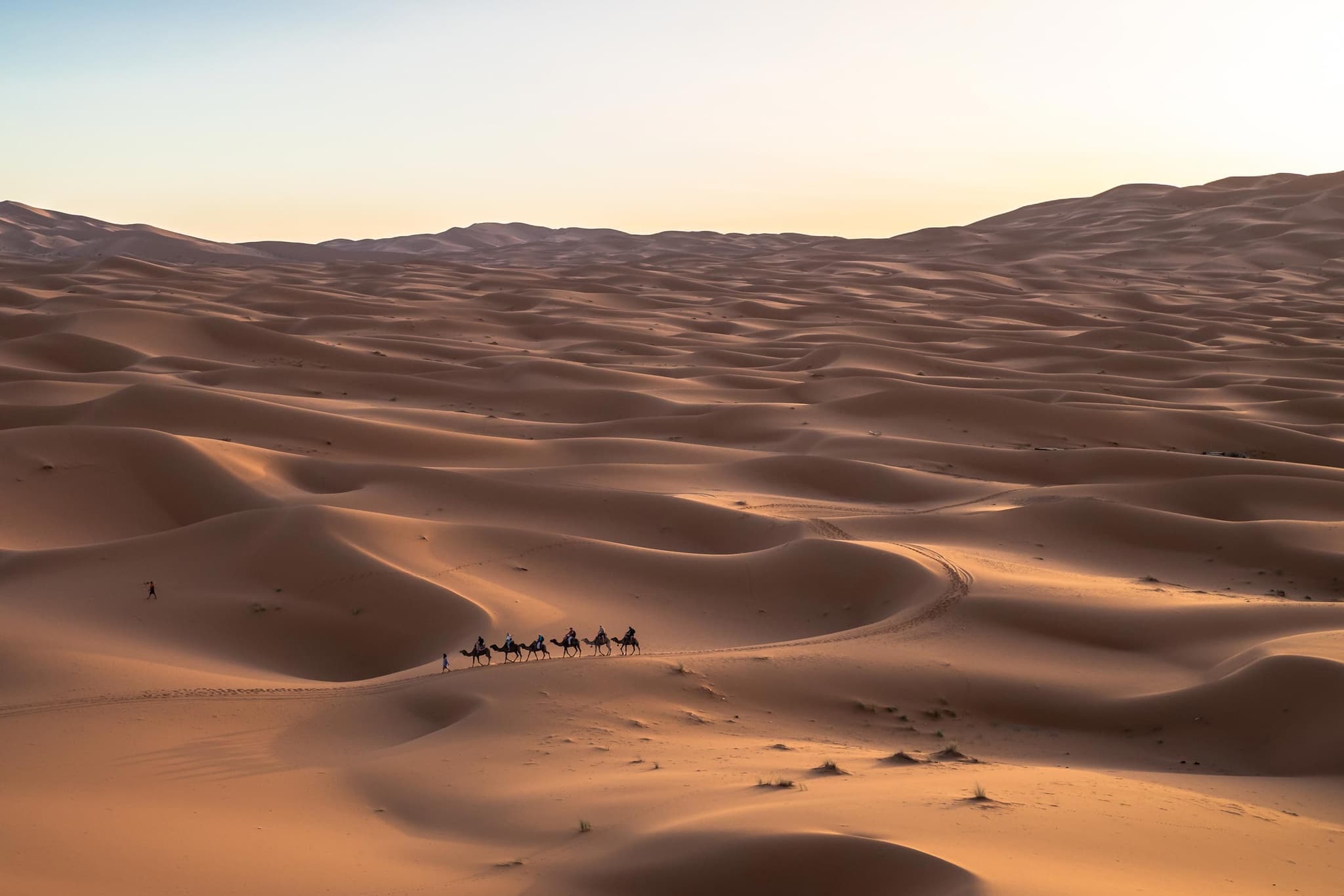 saudi arabie bezoeken