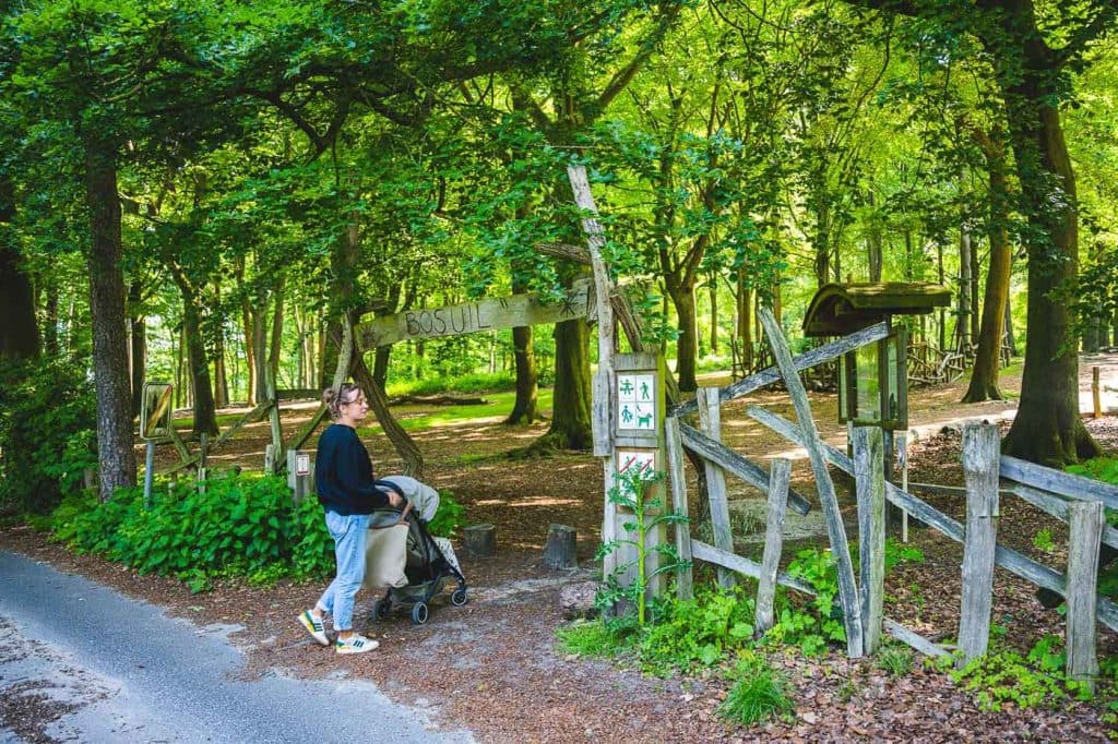 spelen in het bos met kinderen