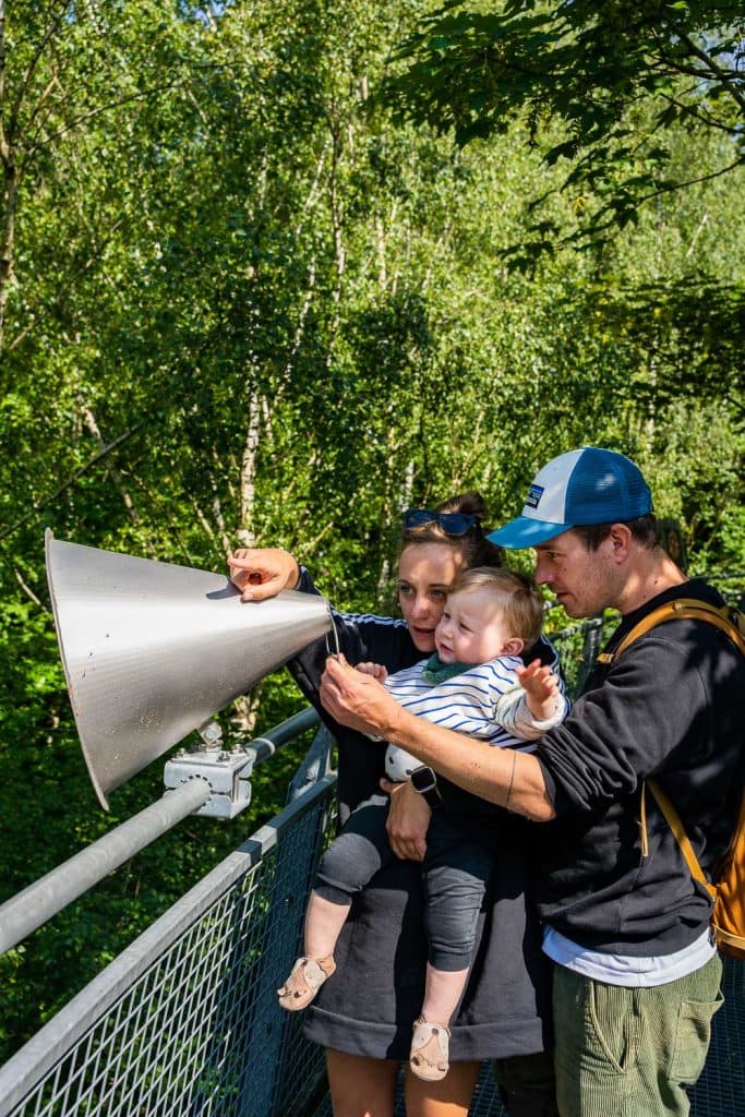 wandelen tussen de bomen