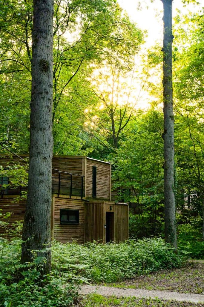 boomhut overnachten your nature eco resort