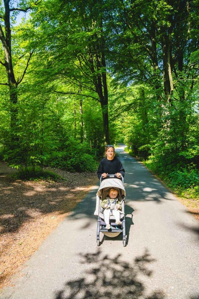 wandelen vlaamse ardennen henegouwen