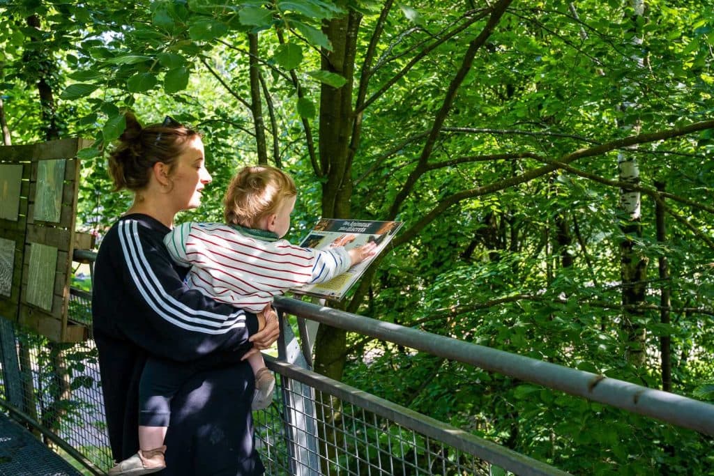 wandelen tussen de bomen speelbos kinderen