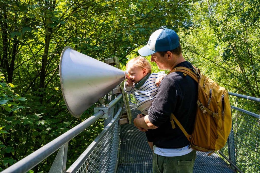 wandelen tussen bomen in henegouwen
