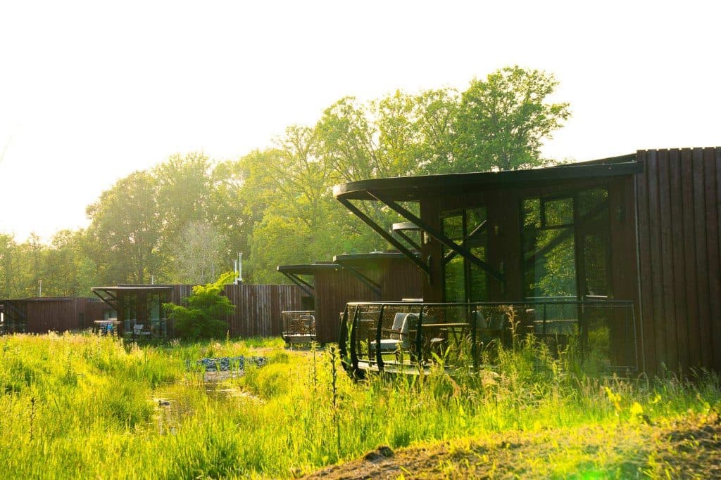 your nature eco resort luxe glamping chalet cabannes cabins