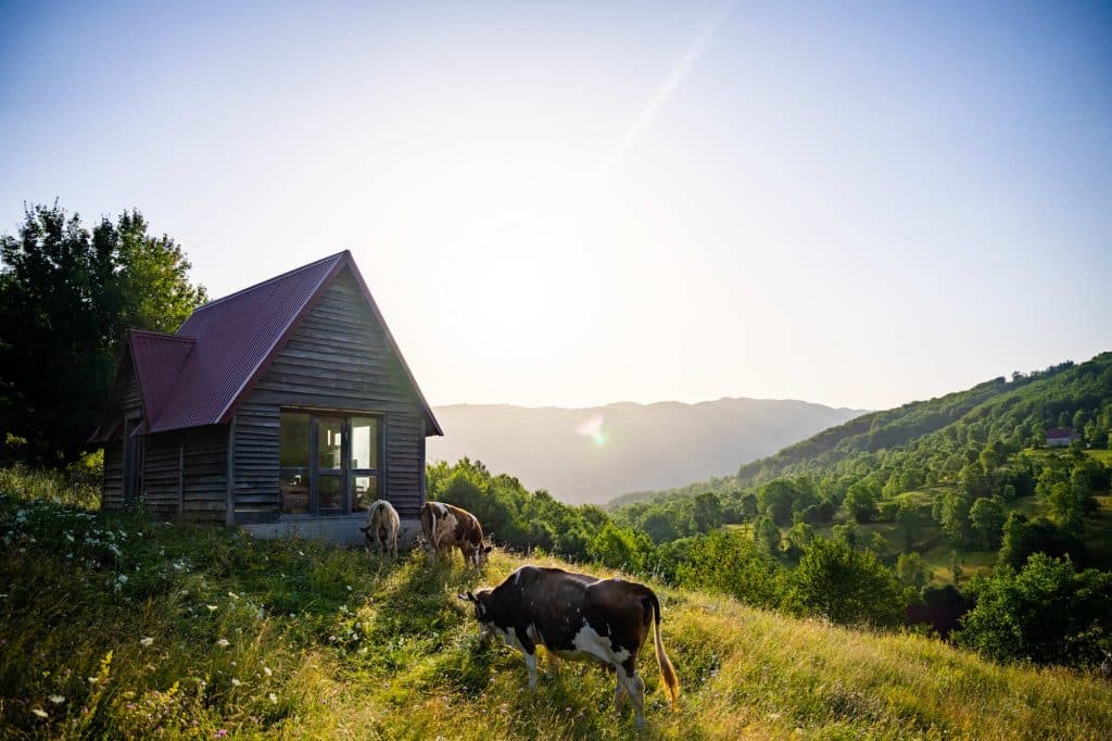 Montenegro slapen op het platte land