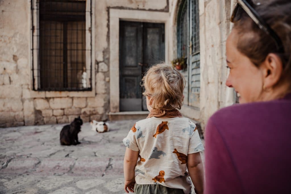 kotor montenegro bezoeken