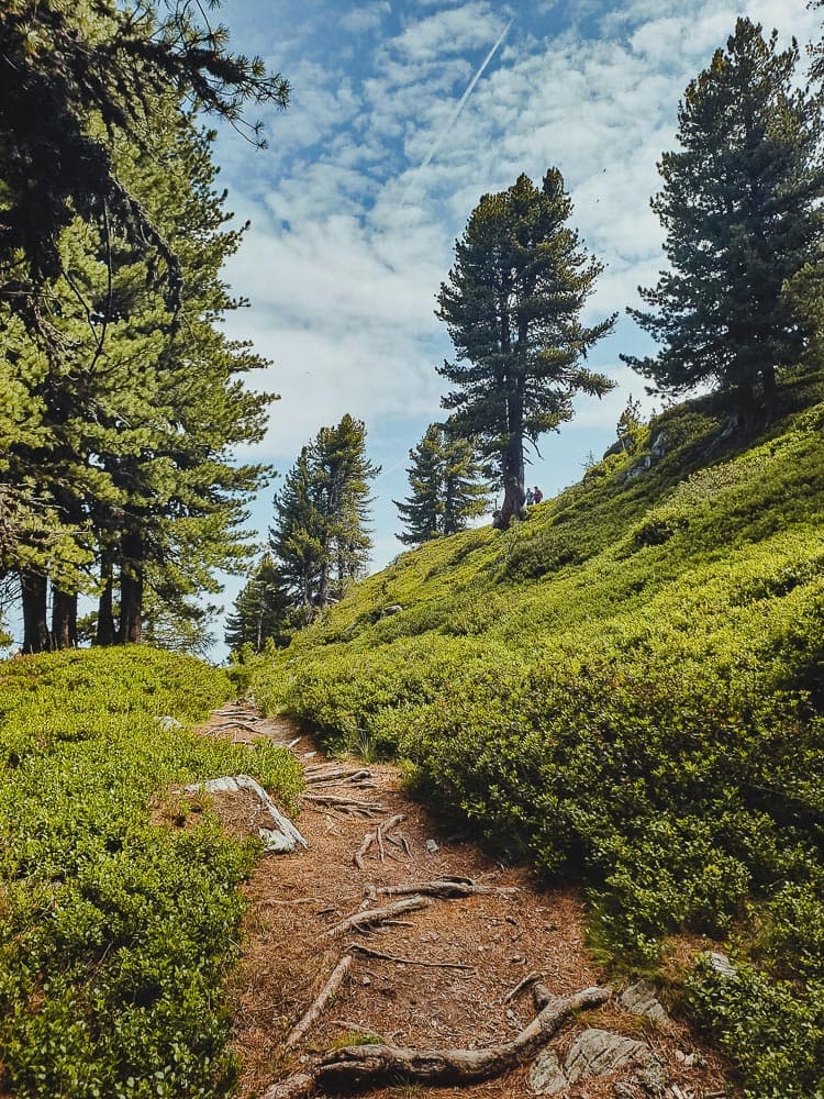 haute nendaz reizen met kinderen