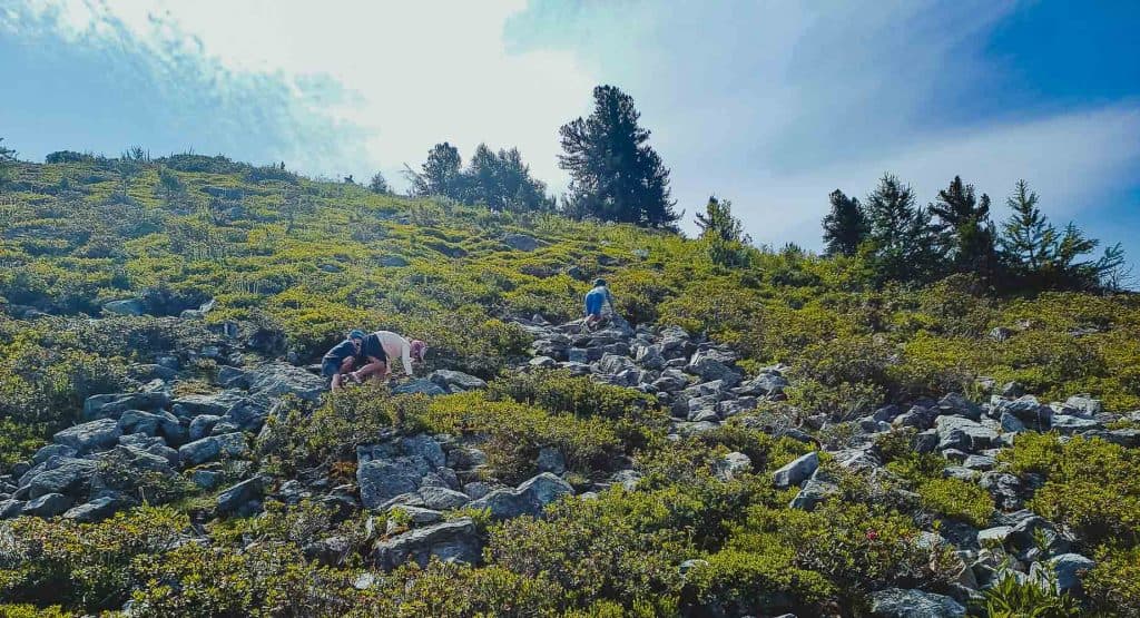 haute nendaz reizen met kinderen