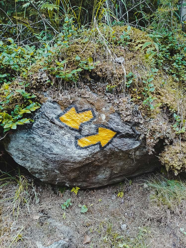 wandelen haute nendaz reizen met kinderen
