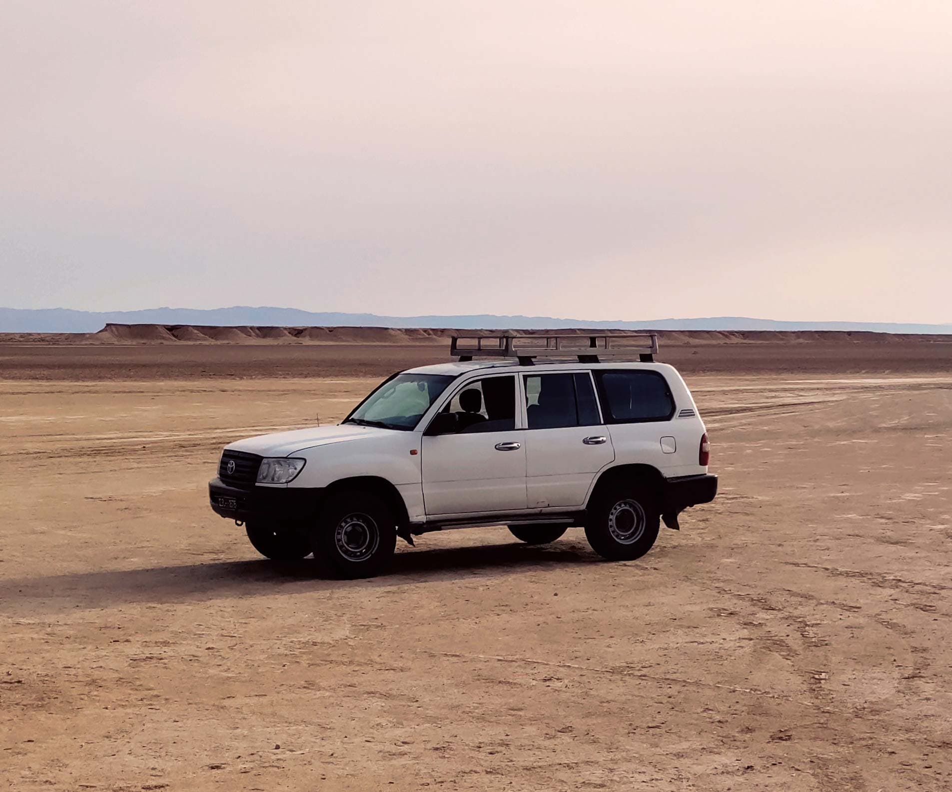 sahara safari