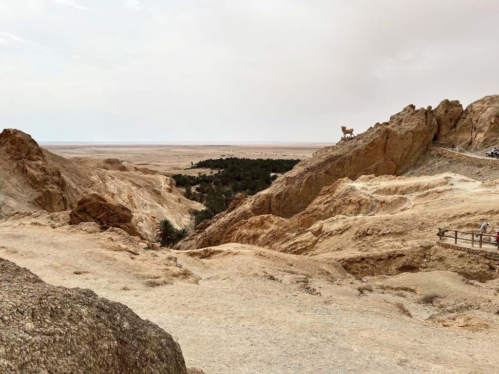 wat doen in de sahara