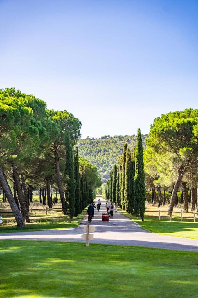 ribera del duero wijnvakantie