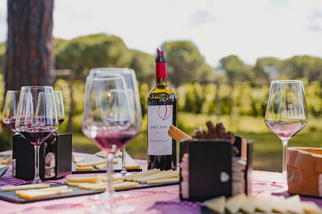 pruno ribera del duero wijnvakantie