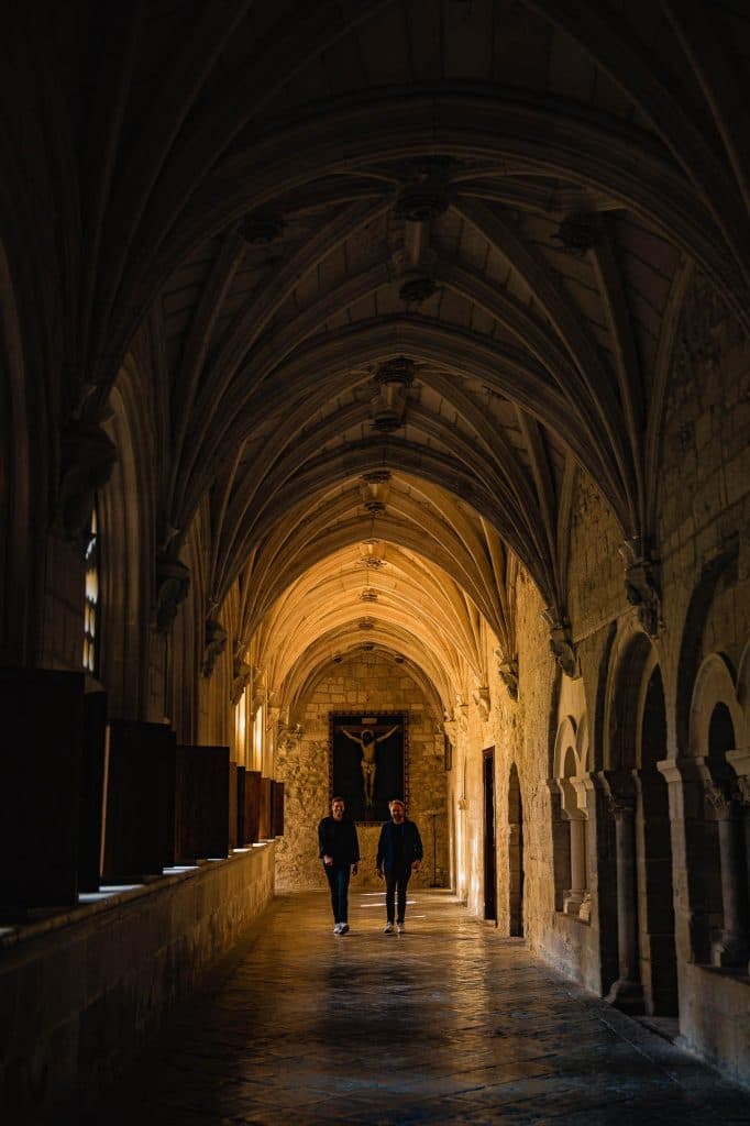 monasterio de la vid