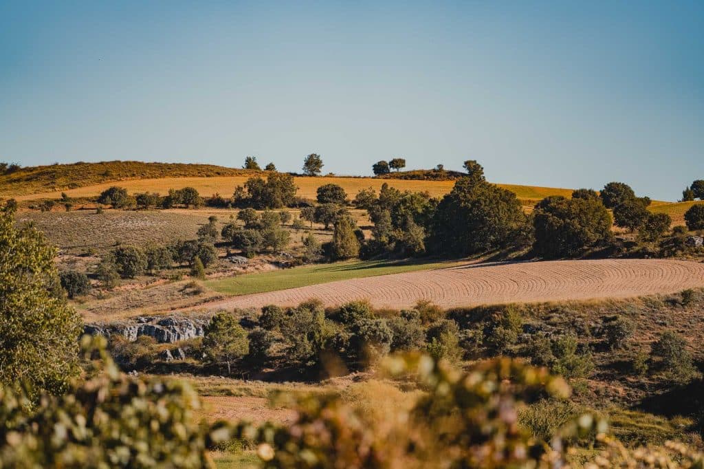 wijjn domeinen bezoeken in spanje