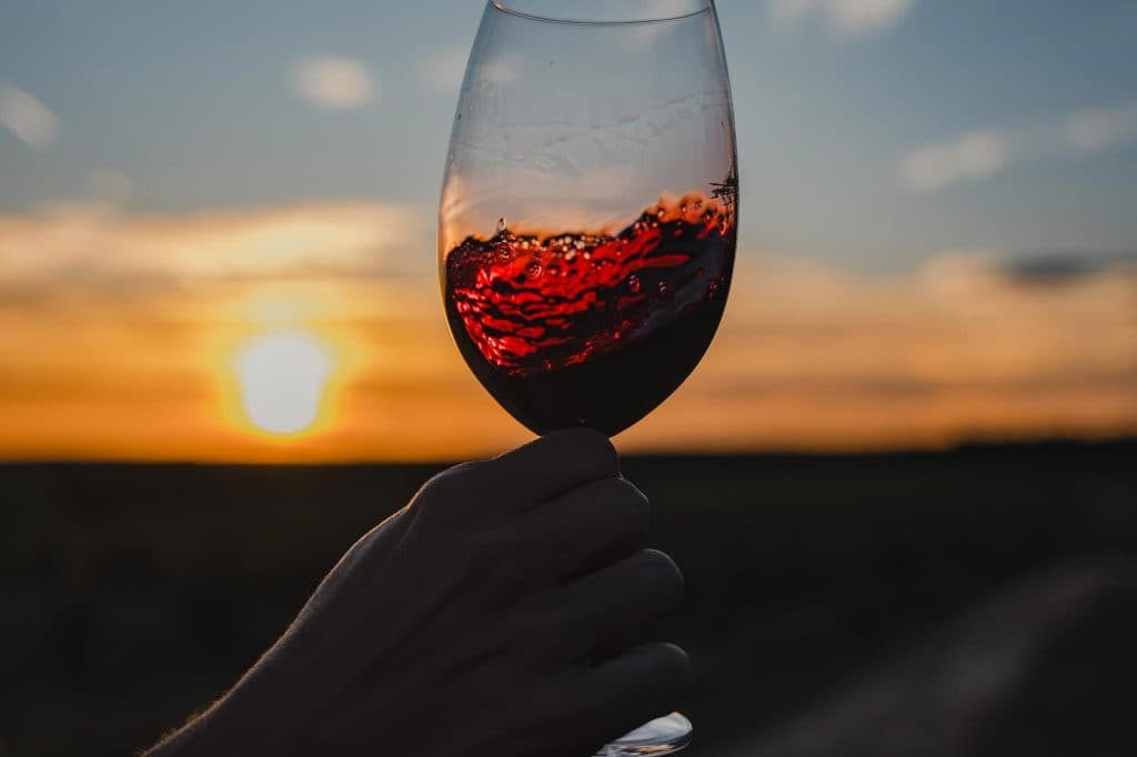 ribera del duero wijnvakantie