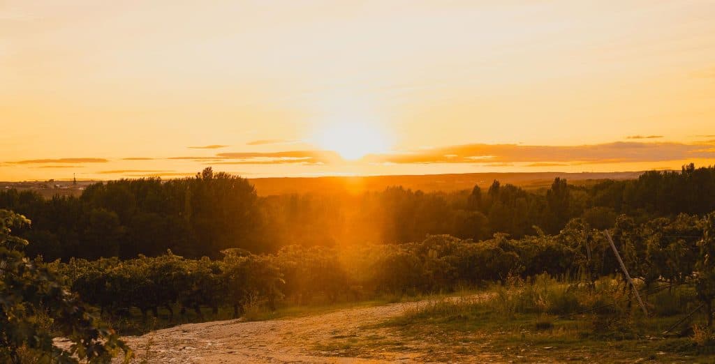 wijjn domeinen bezoeken in spanje