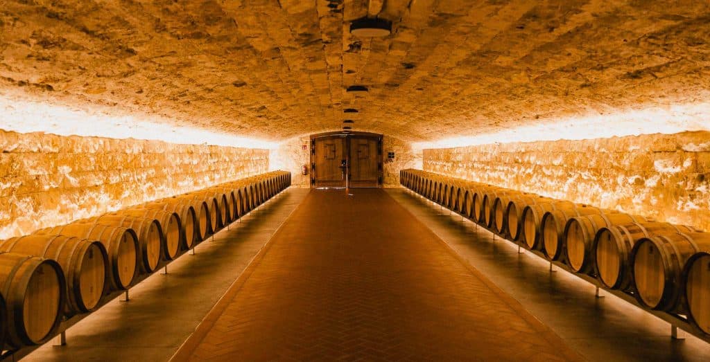 wijn vakantie in spanje