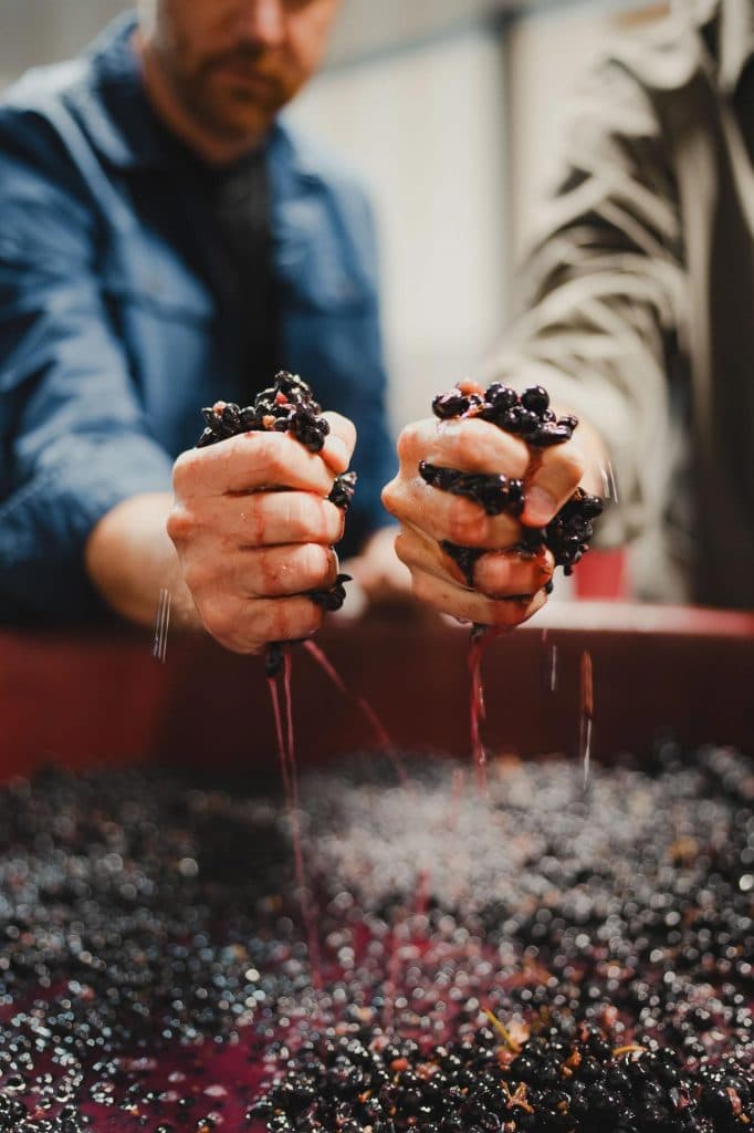 de beste wijn van spanje