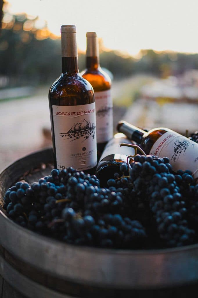 de beste wijn van spanje