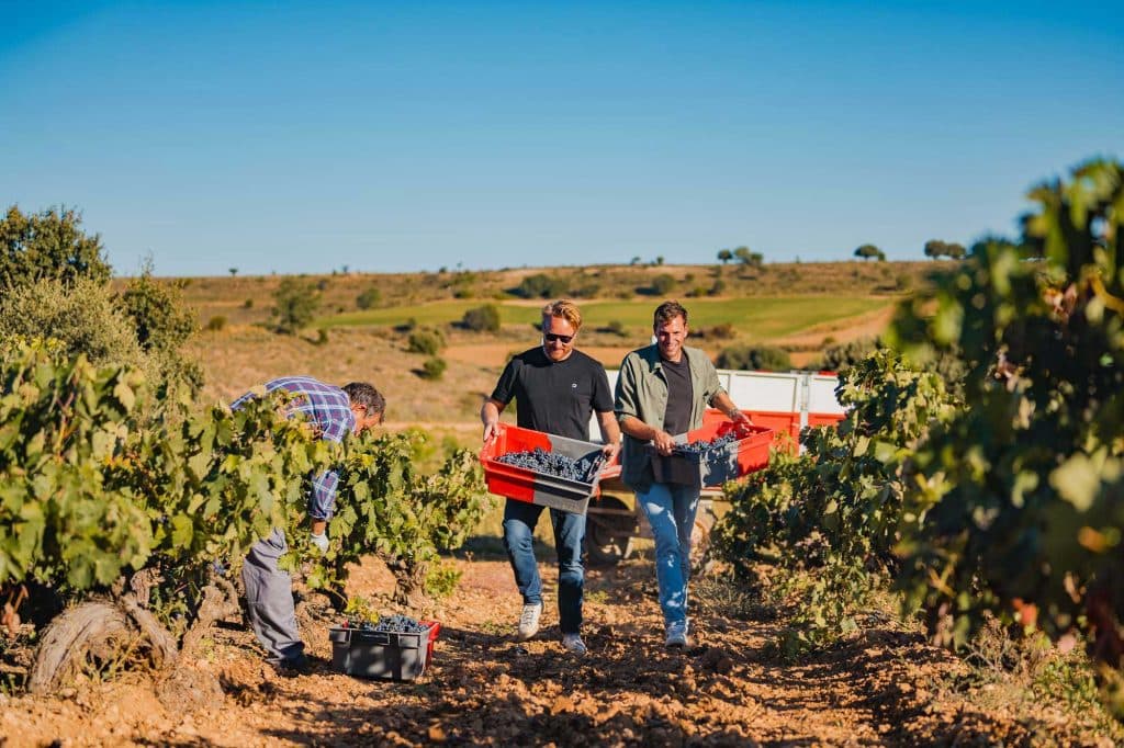 wijndomein bezoeken in spanje