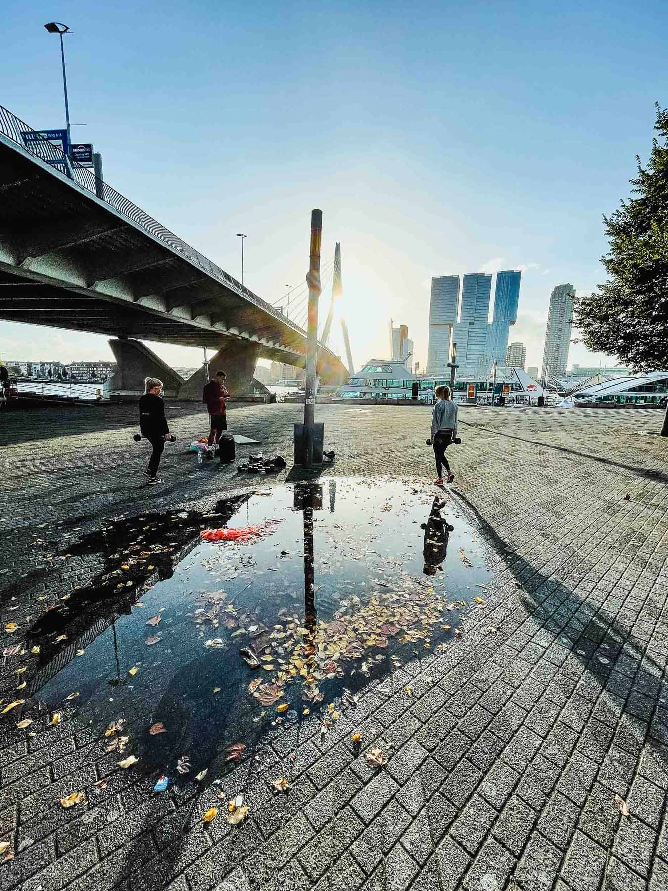 bezienswaardigheden rotterdam voor perfecte citytrip