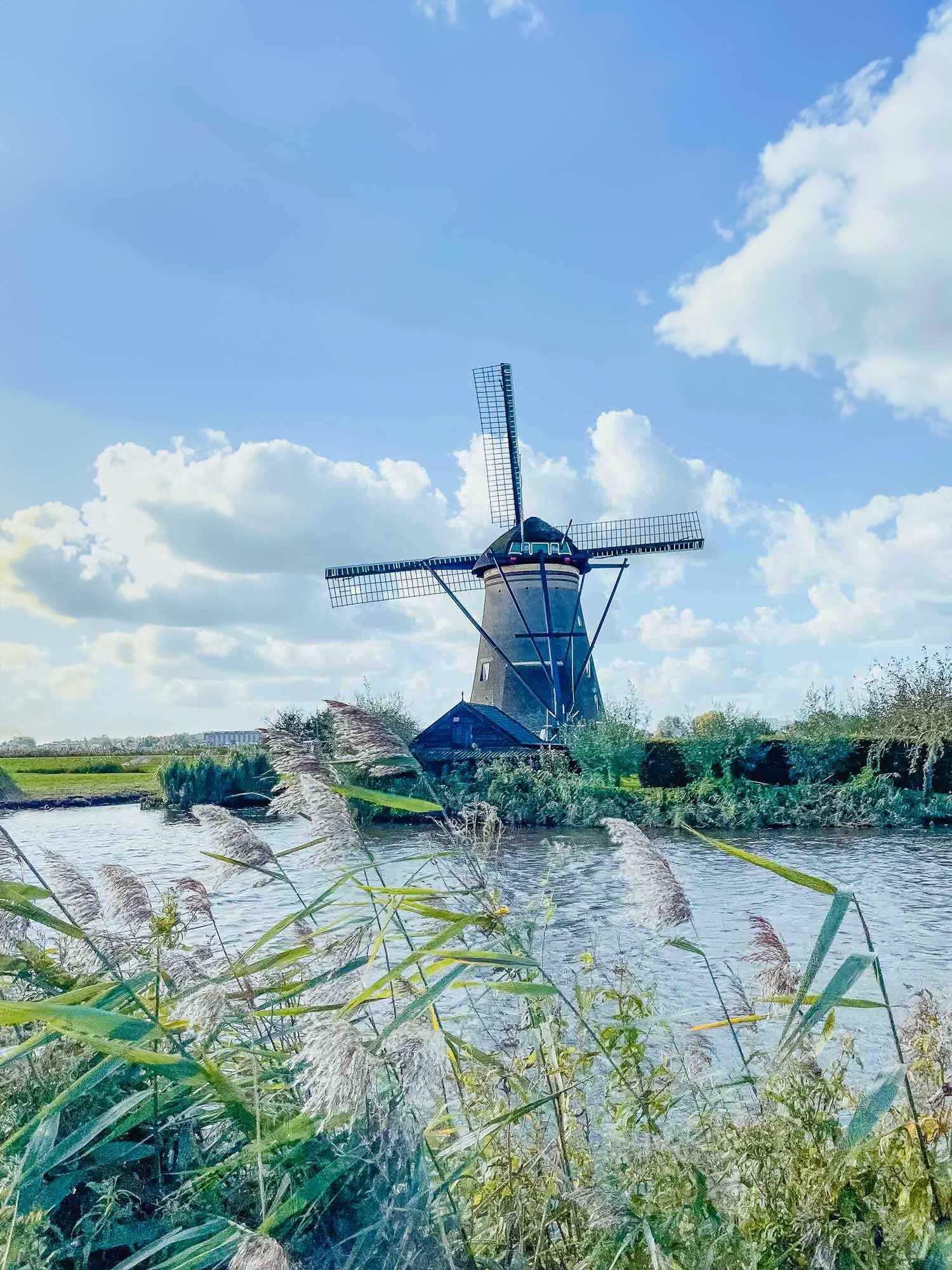 kinderdijk bezienswaardigheden rotterdam voor perfecte citytrip