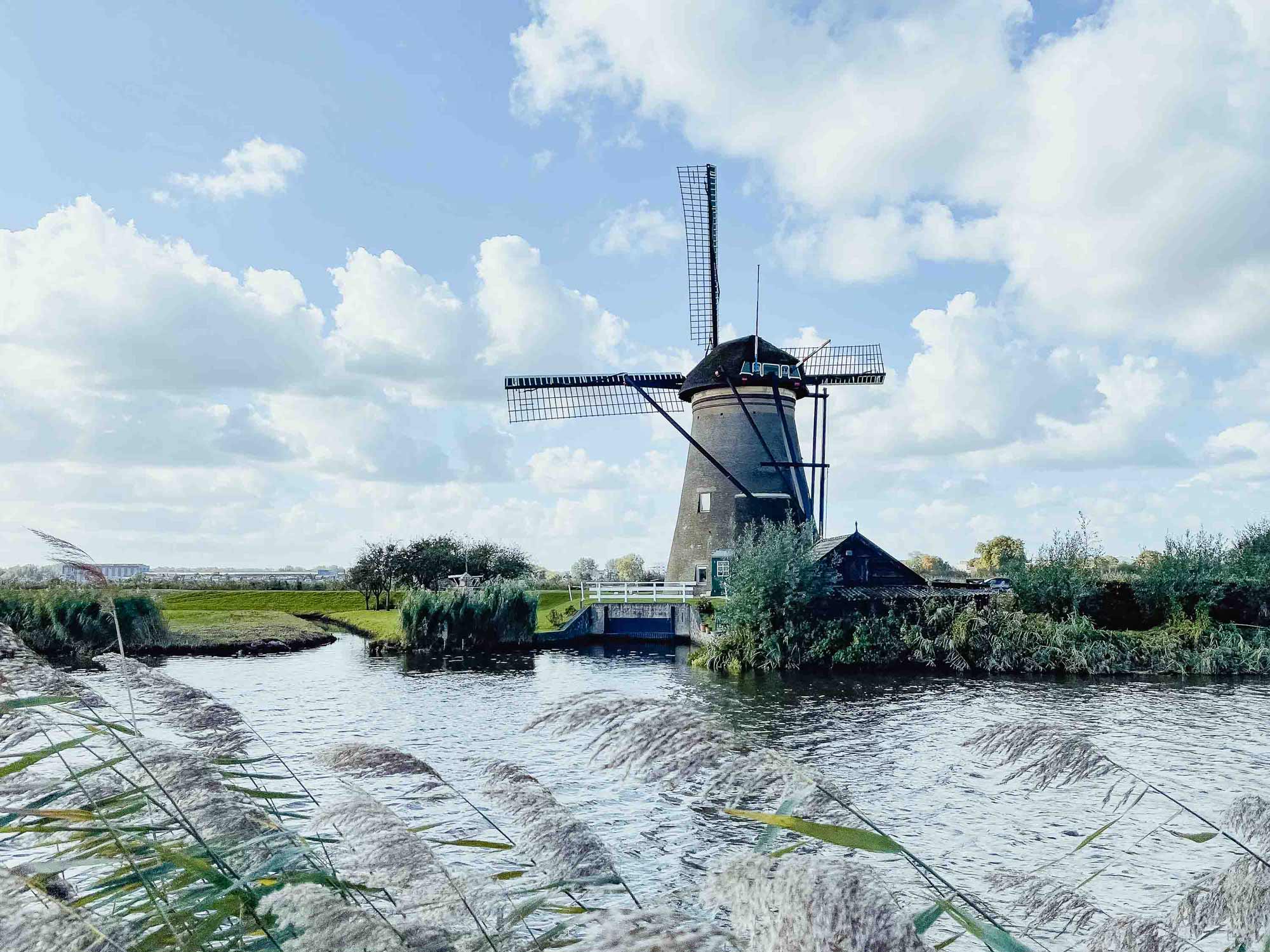 kinderdijk rotterdam met kinderen
